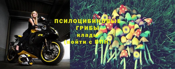 ECSTASY Пестово