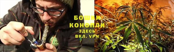 ГАЛЛЮЦИНОГЕННЫЕ ГРИБЫ Балахна