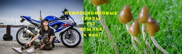 ГАЛЛЮЦИНОГЕННЫЕ ГРИБЫ Балахна