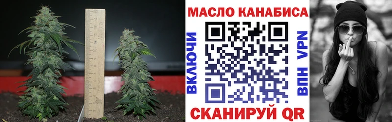 купить наркоту  MEGA вход  Дистиллят ТГК вейп с тгк  Городовиковск 