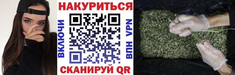 Конопля план  Городовиковск 